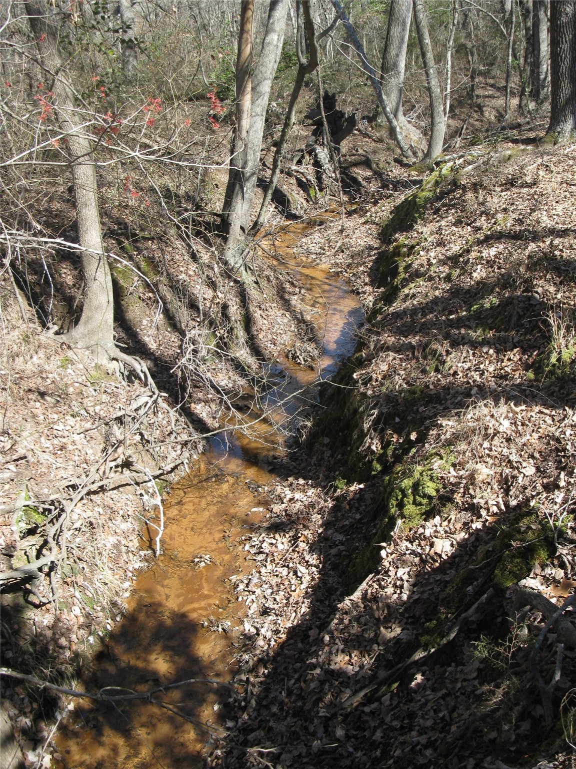 Tbd 133 Ac +- Vz County Road 4701 Ben Wheeler TX 75754