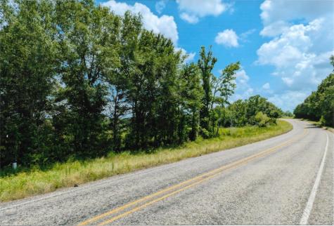 Tbd 133 Ac +- Vz County Road 4701 Ben Wheeler TX 75754