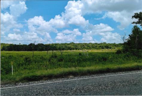 Tbd 133 Ac +- Vz County Road 4701 Ben Wheeler TX 75754