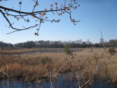 Tbd 133 Ac +- Vz County Road 4701 Ben Wheeler TX 75754