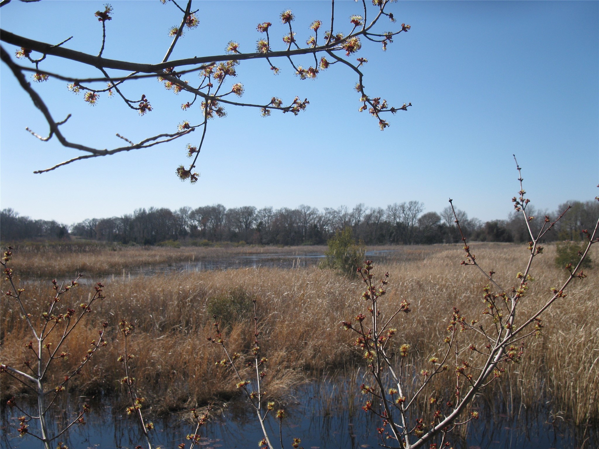 Tbd 133 Ac +- Vz County Road 4701 Ben Wheeler TX 75754
