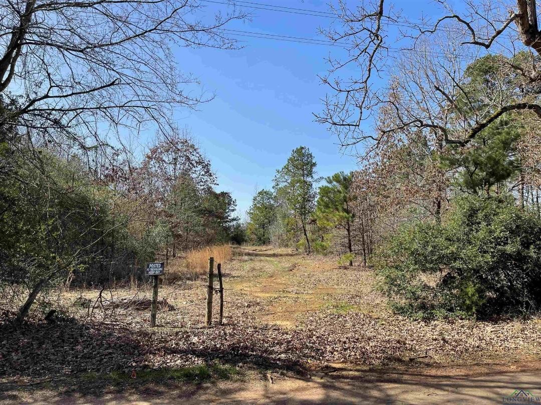 1997 Zinna Road Diana TX 75640