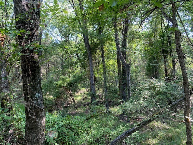 Trail 3-a Cr 41514 Athens TX 75751