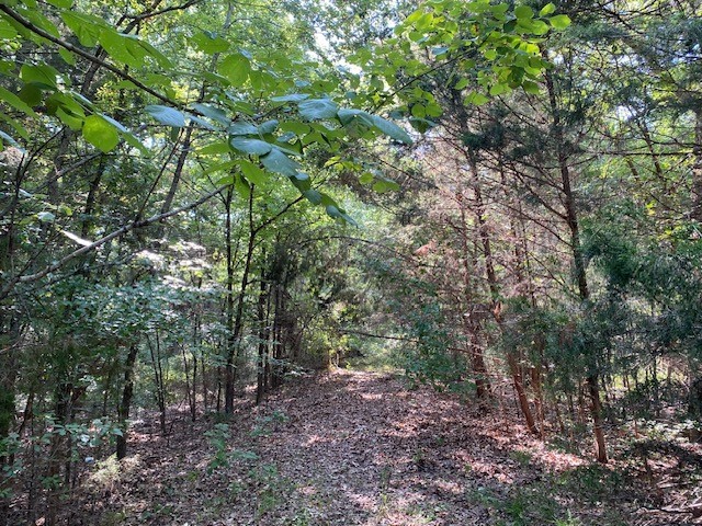Trail 3-a Cr 41514 Athens TX 75751