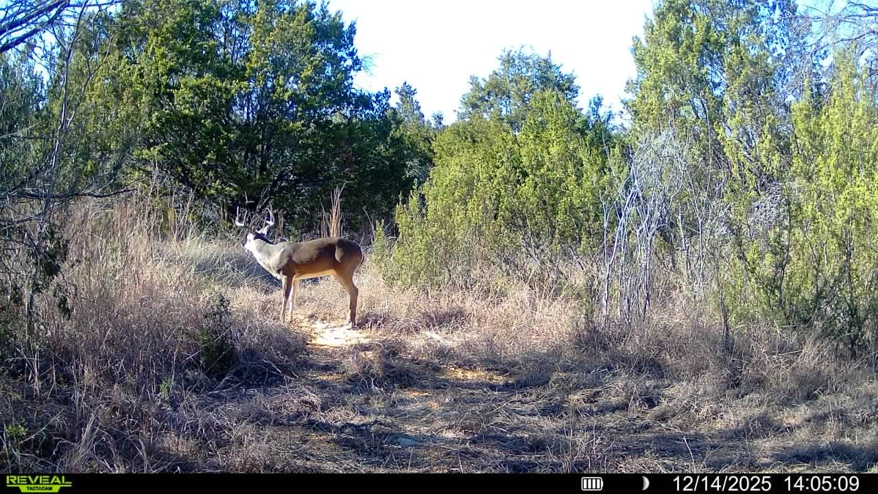 Tbd County Road 156 Stephenville TX 76401