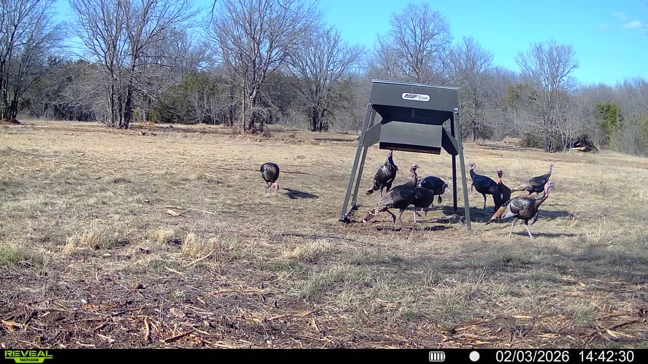 Tbd County Road 156 Stephenville TX 76401