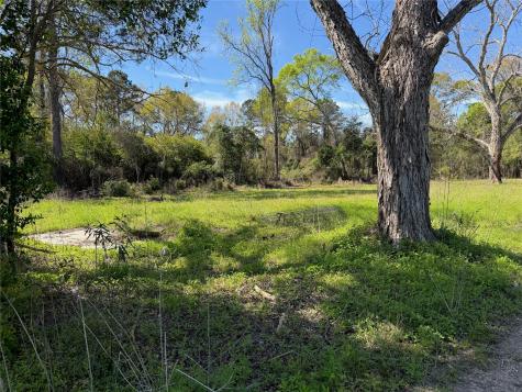 5989 Fm 92 S Woodville TX 75979