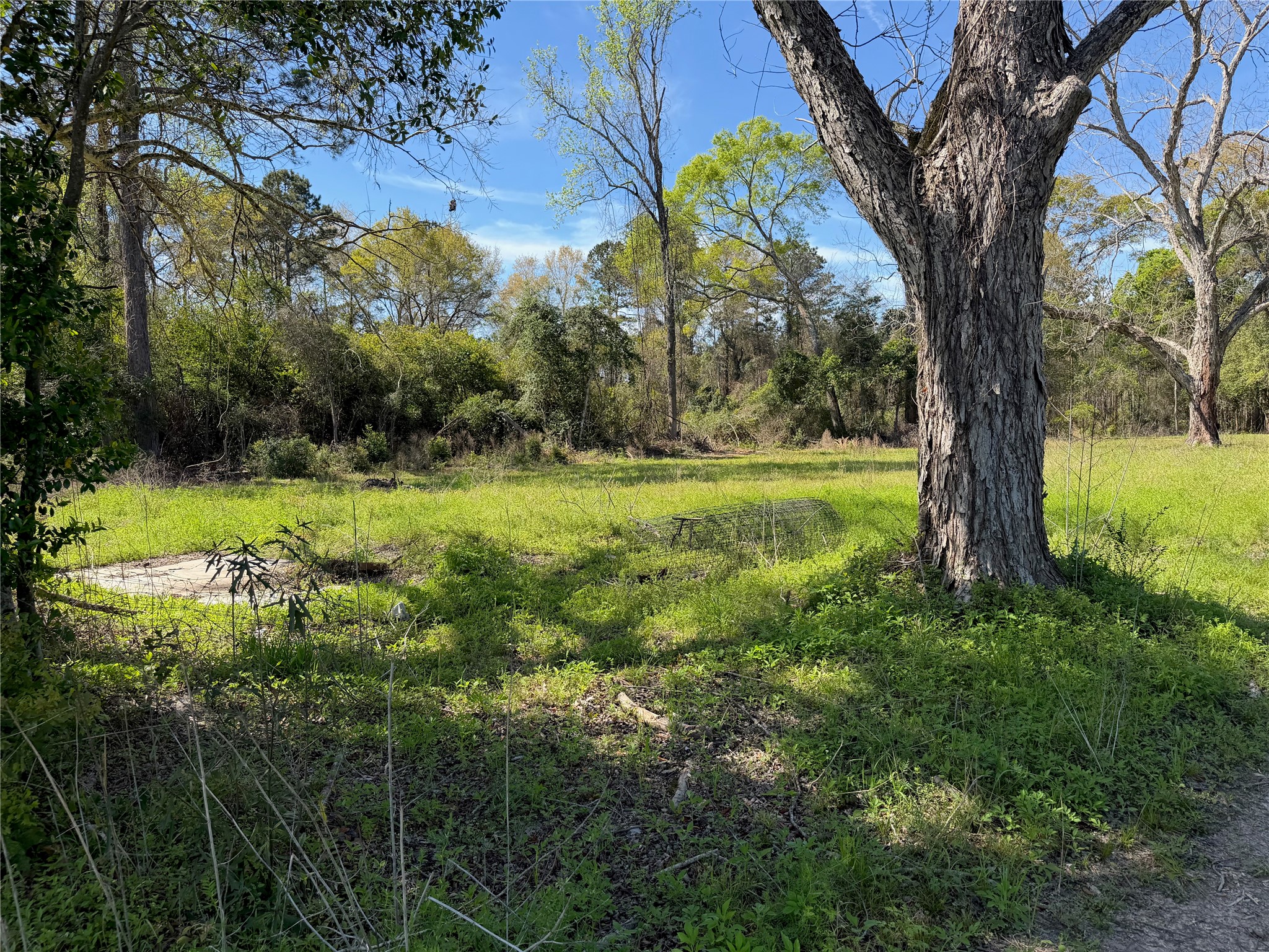 5989 Fm 92 S Woodville TX 75979
