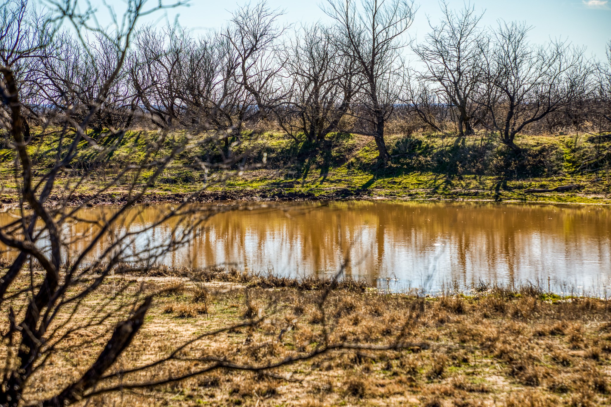 3151 Orth Olney TX 76374