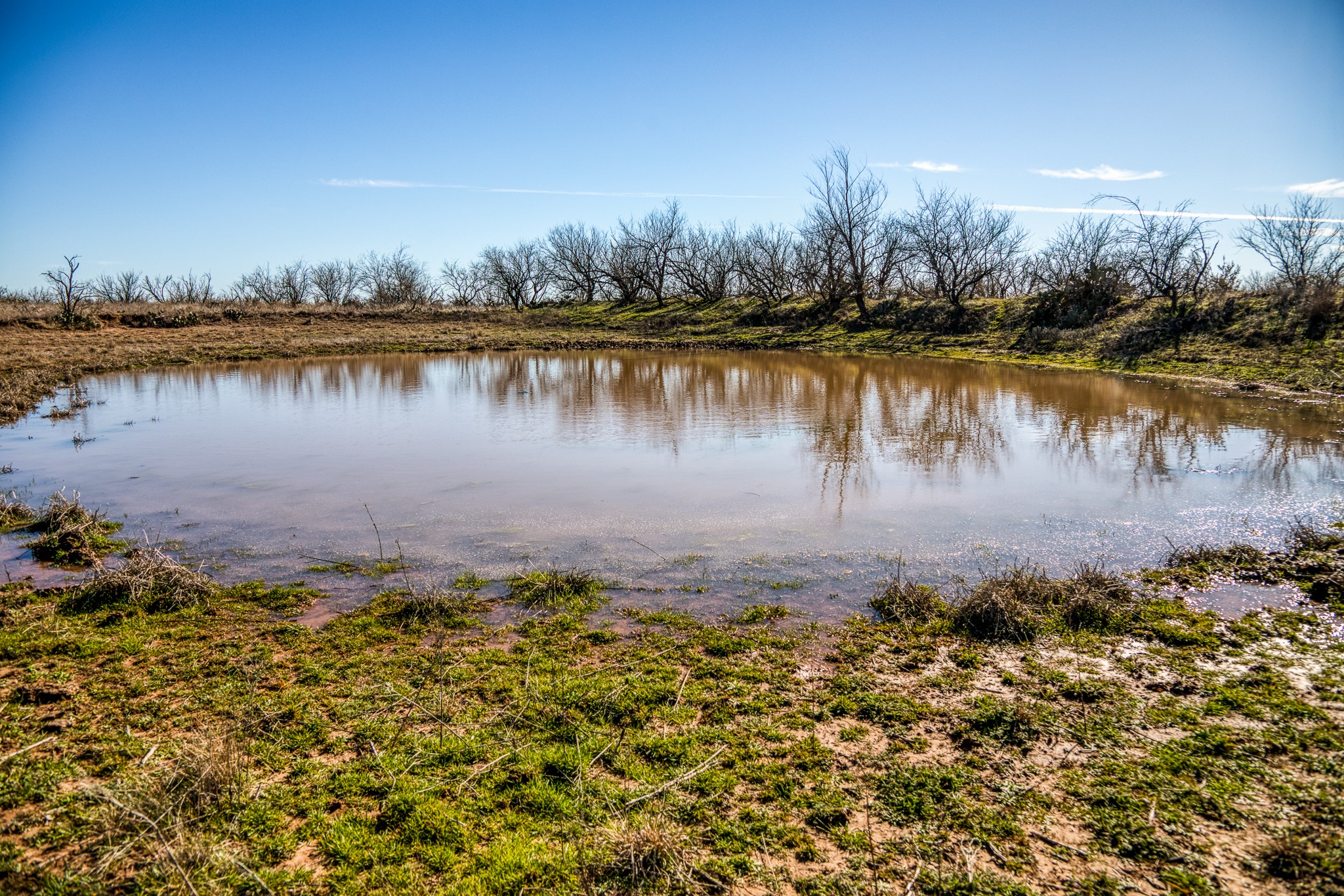 3151 Orth Olney TX 76374