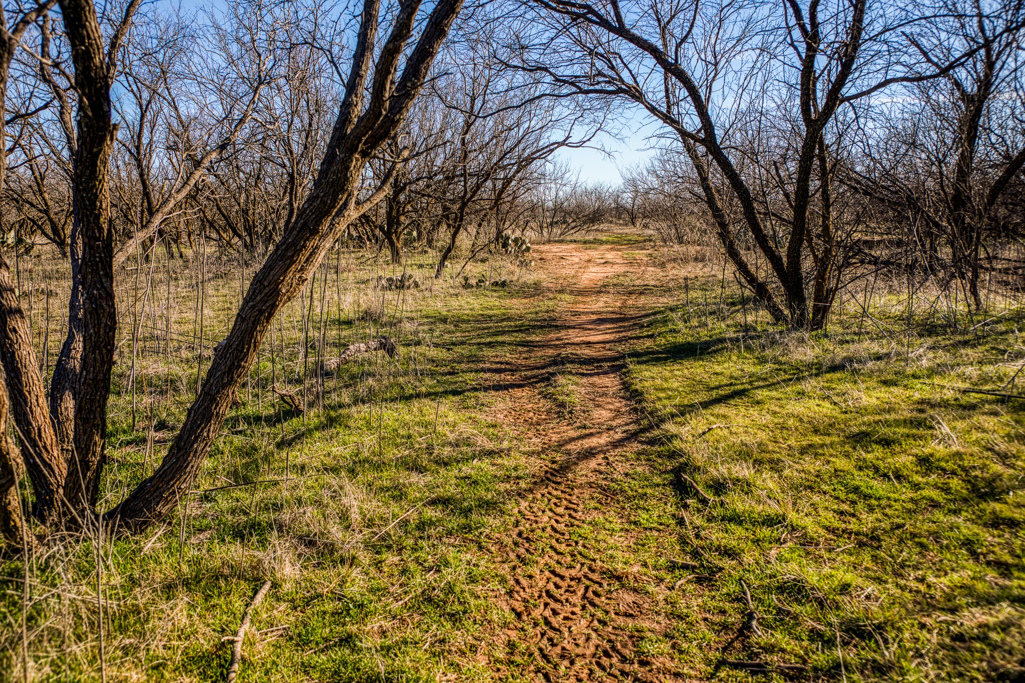 3151 Orth Olney TX 76374