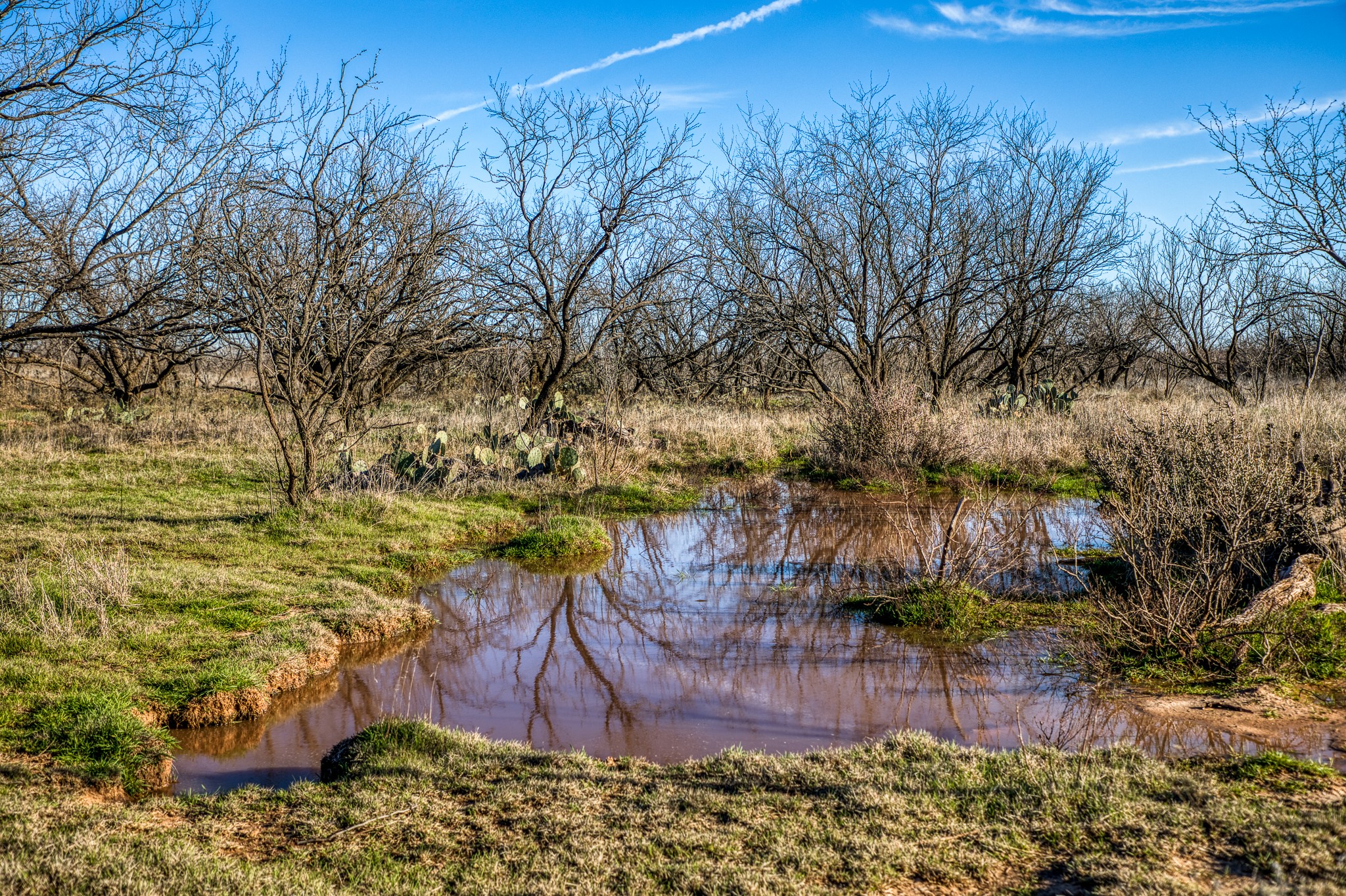 3151 Orth Olney TX 76374
