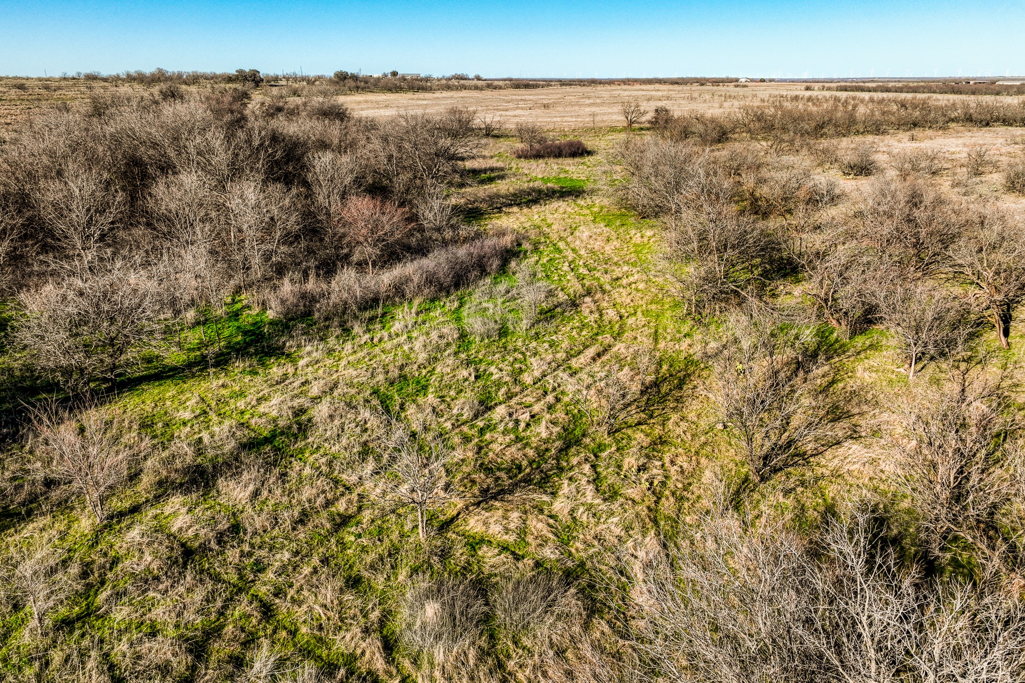 3151 Orth Olney TX 76374