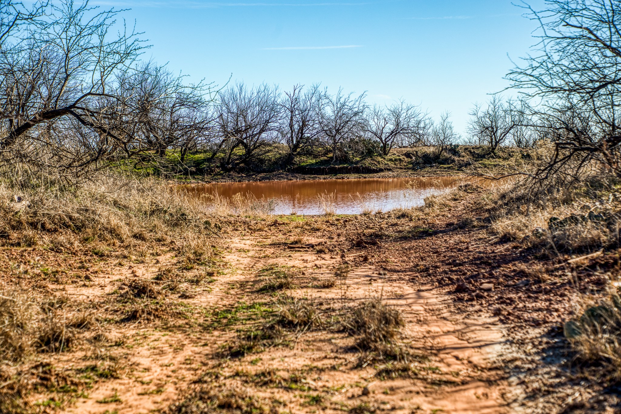 3151 Orth Olney TX 76374