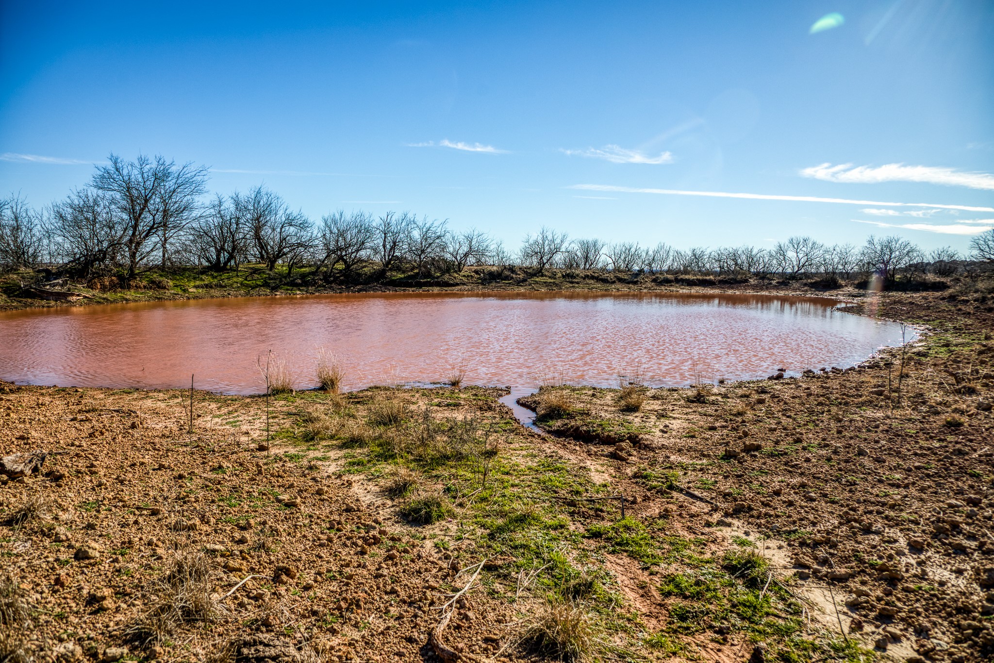3151 Orth Olney TX 76374