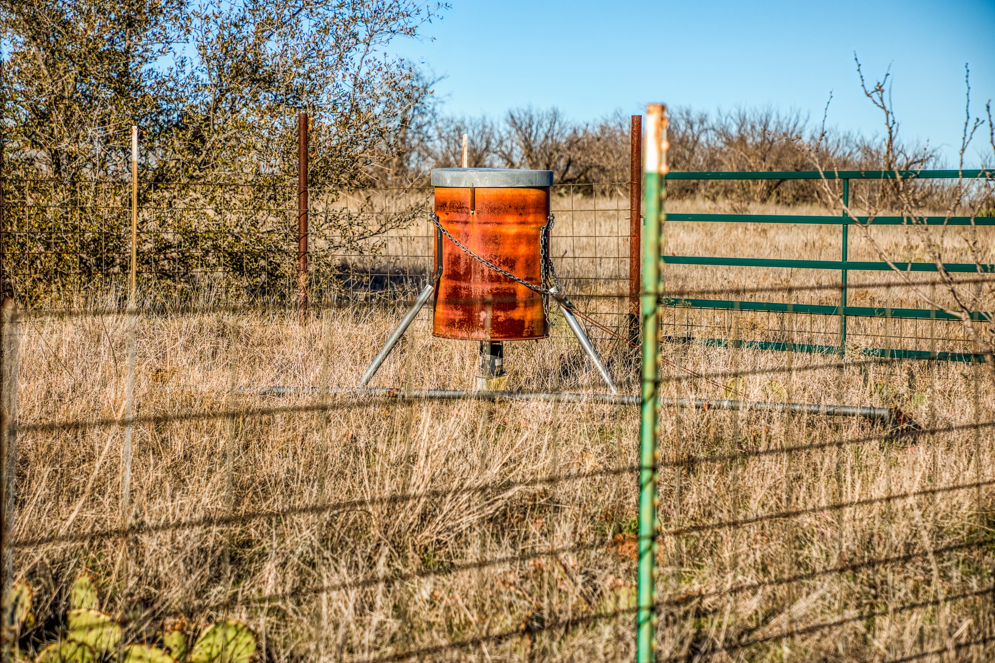 3151 Orth Olney TX 76374