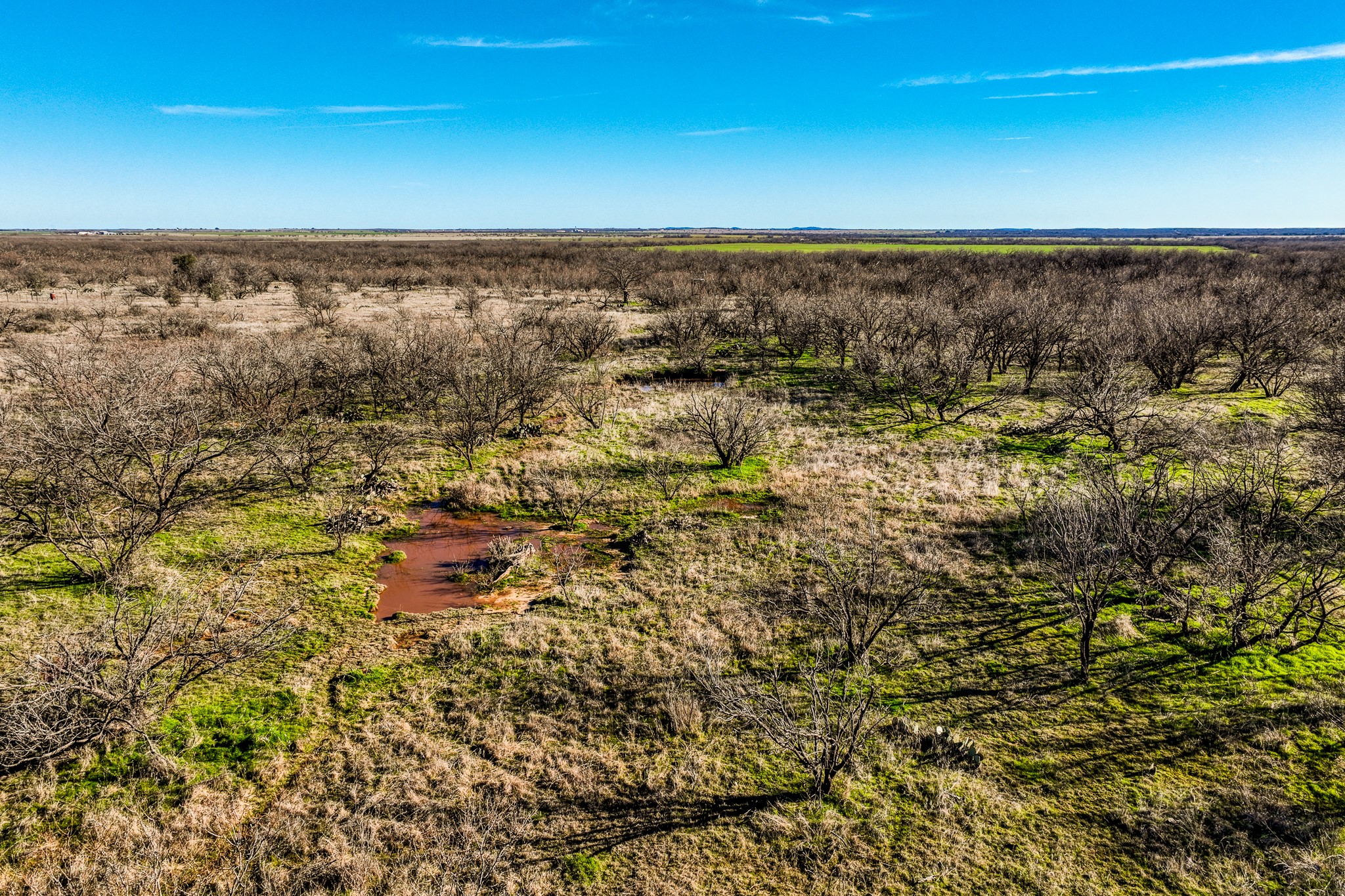 3151 Orth Olney TX 76374