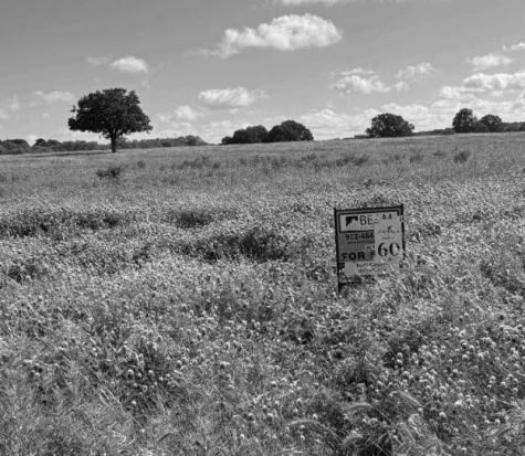 Lot 60 Buffalo Lane Chico TX 76431