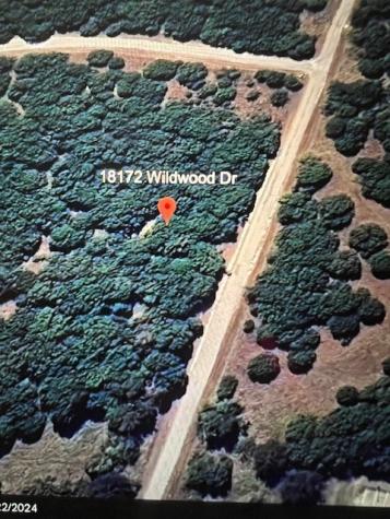 18172 Wildwood Drive Whitney TX 76692