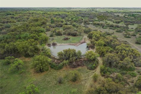 TBD Co Road 369 Carbon TX 76435