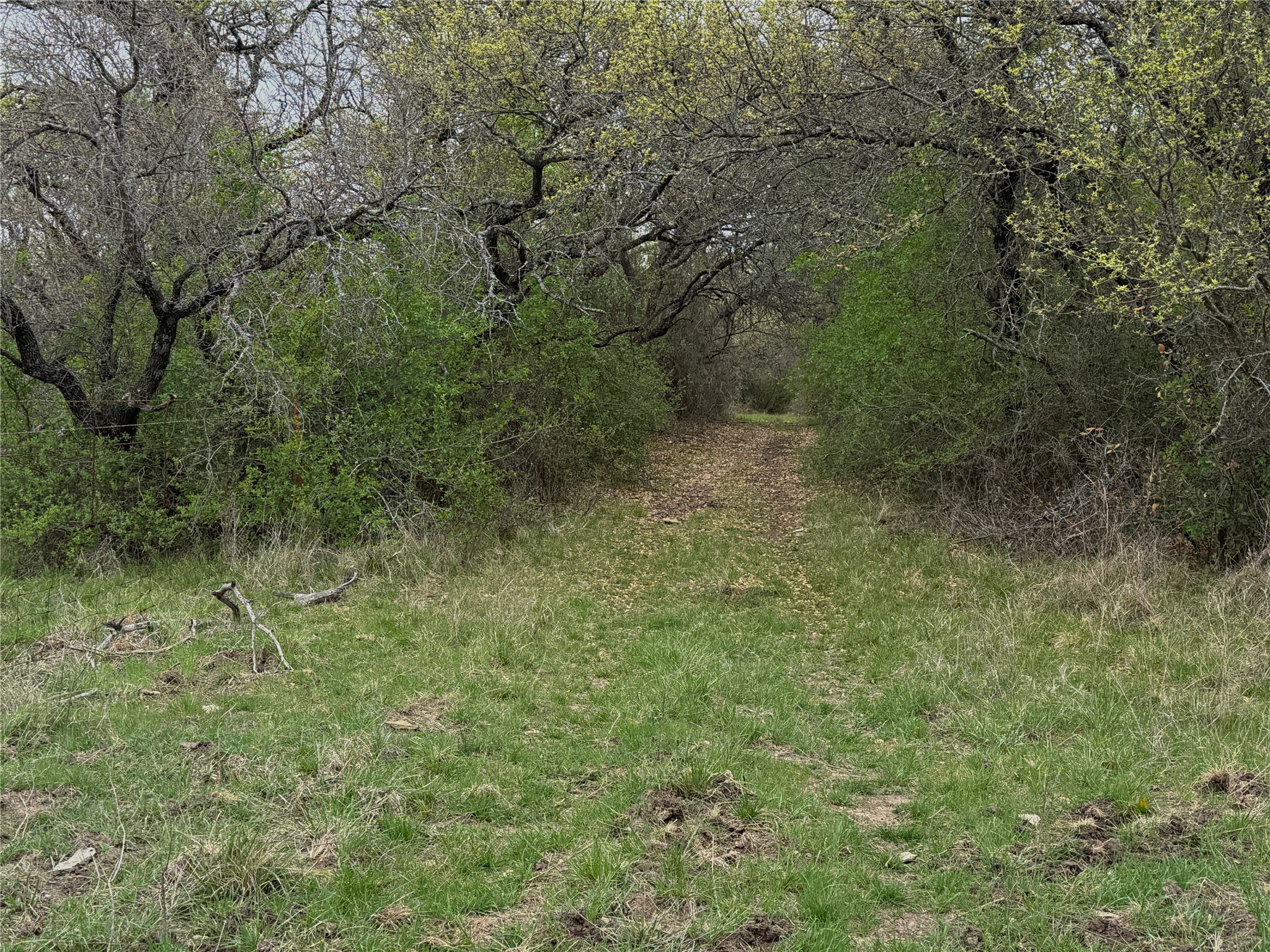 Tbd Co Road 369 Carbon TX 76435