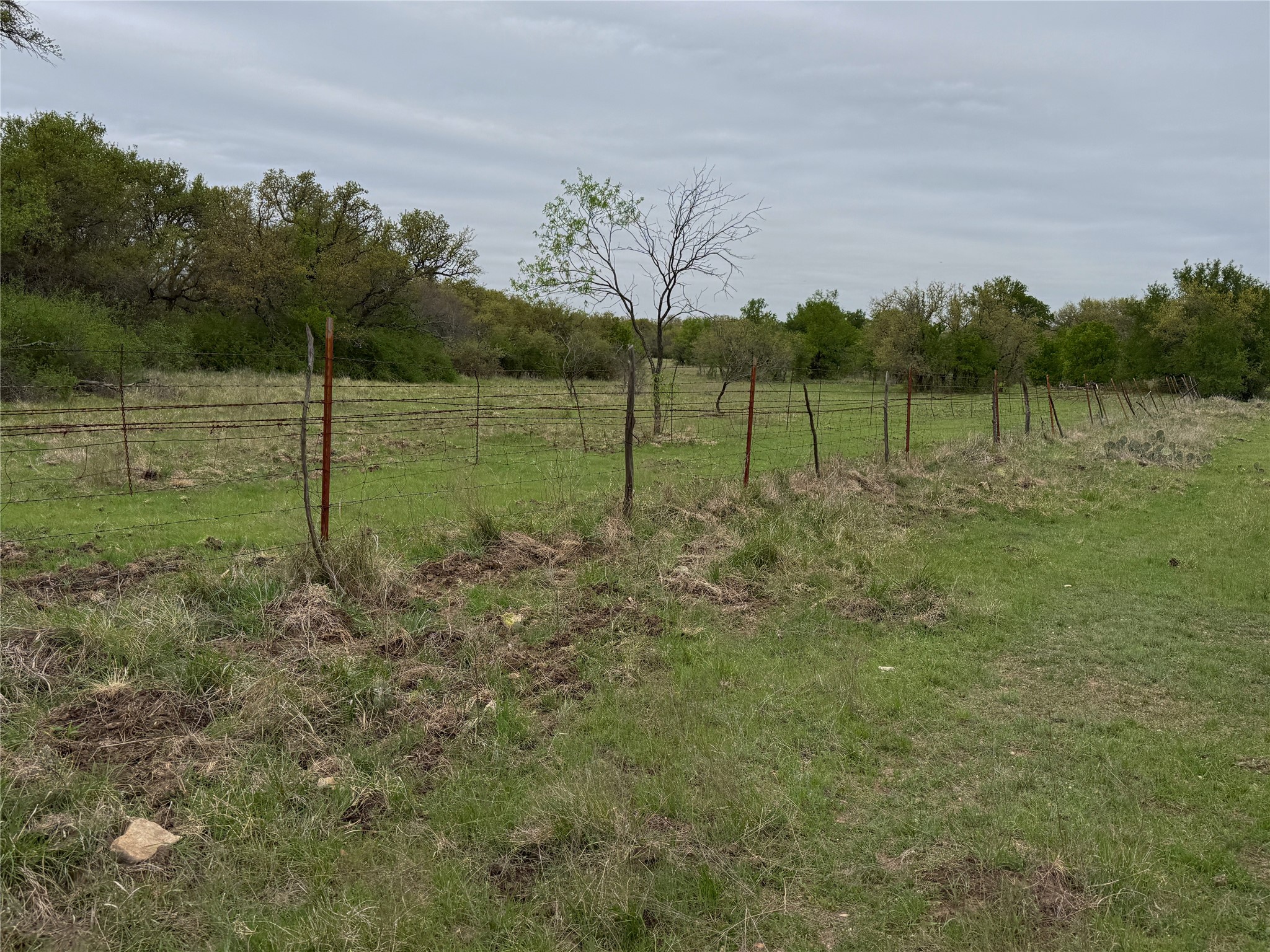 Tbd Co Road 369 Carbon TX 76435