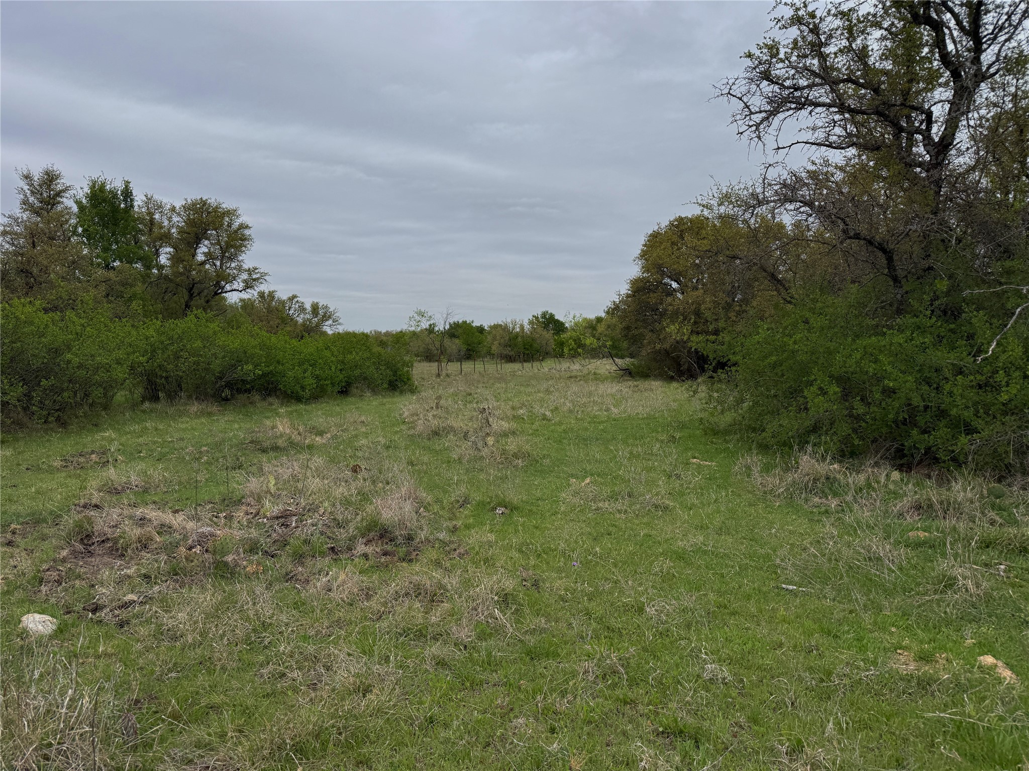 Tbd Co Road 369 Carbon TX 76435