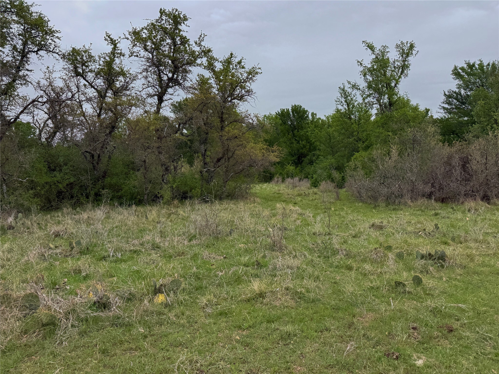 Tbd Co Road 369 Carbon TX 76435