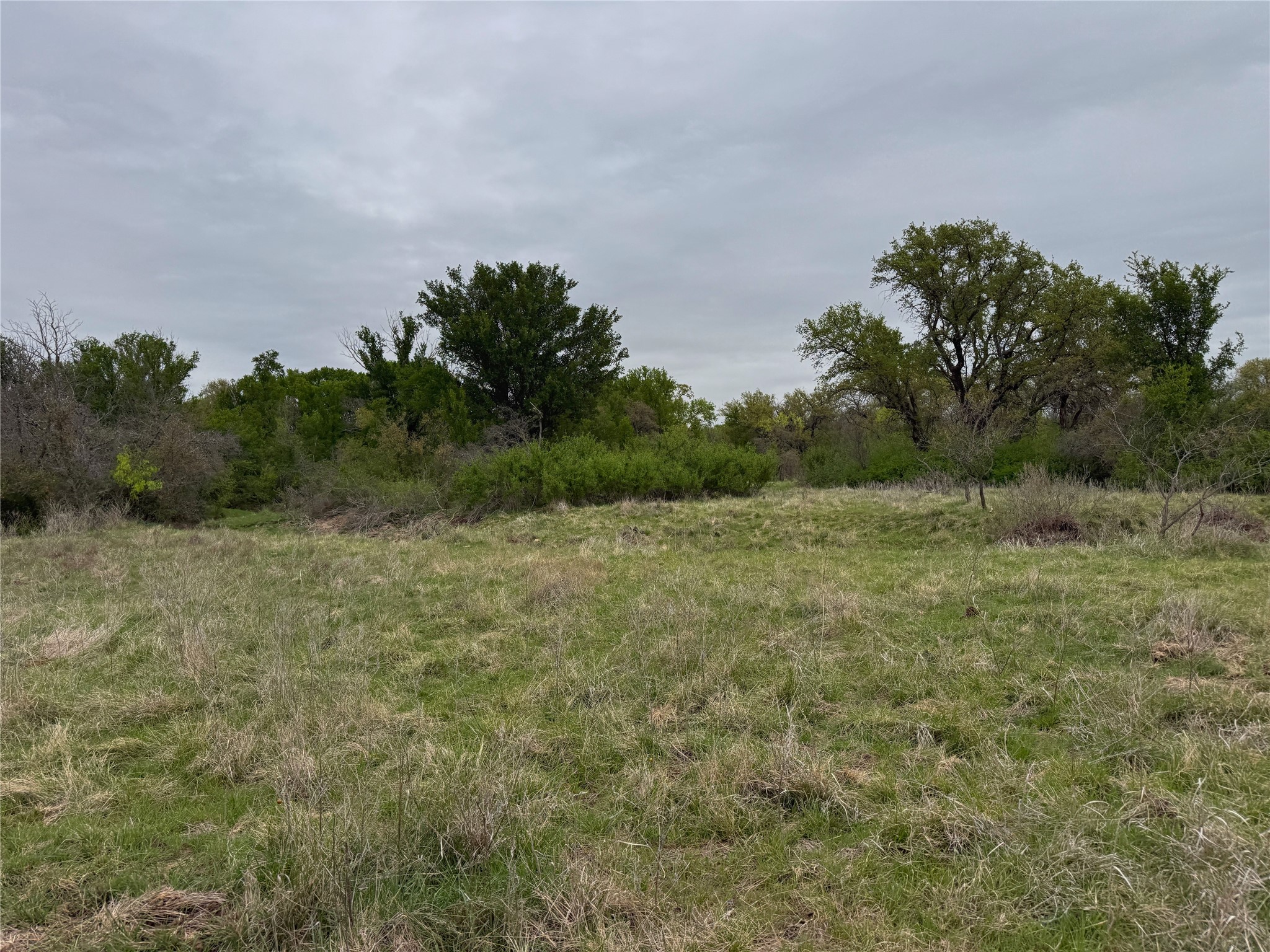Tbd Co Road 369 Carbon TX 76435
