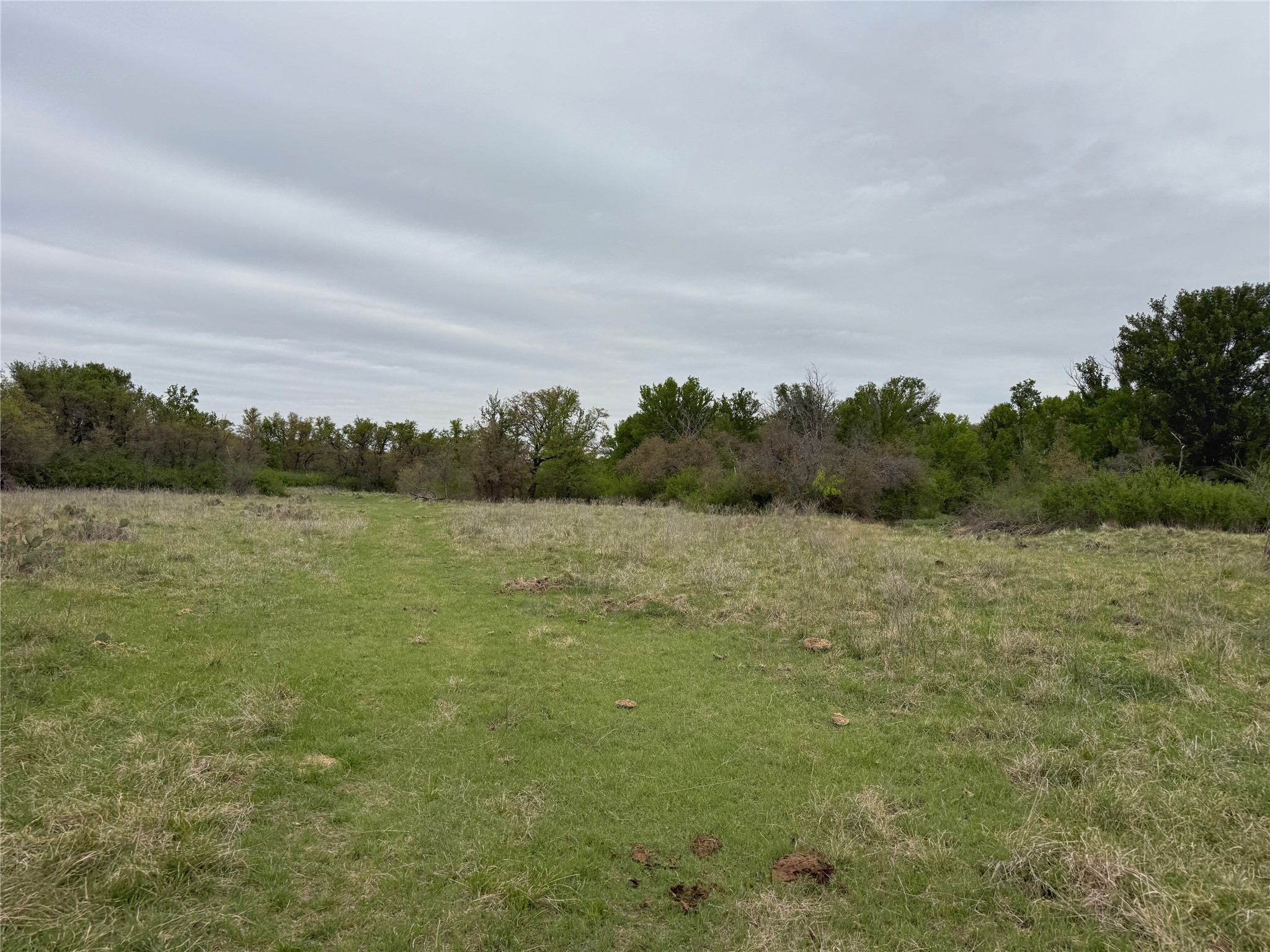 Tbd Co Road 369 Carbon TX 76435
