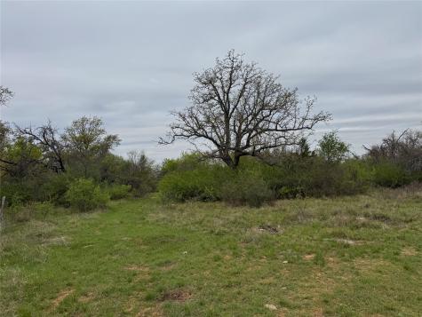 Tbd Co Road 369 Carbon TX 76435