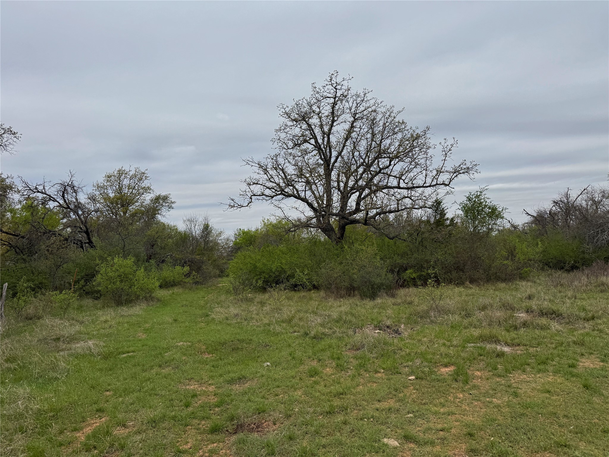 Tbd Co Road 369 Carbon TX 76435