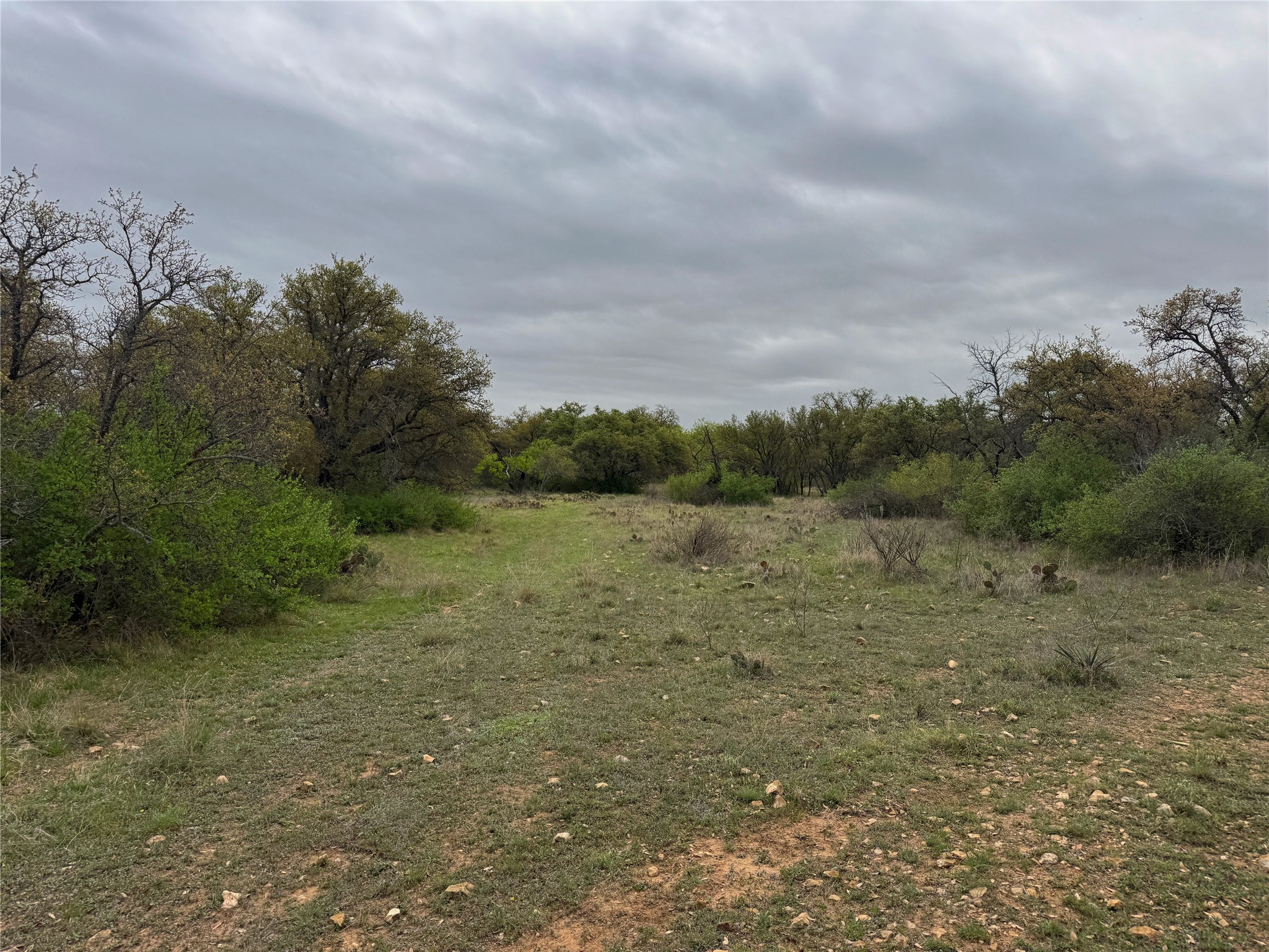 Tbd Co Road 369 Carbon TX 76435