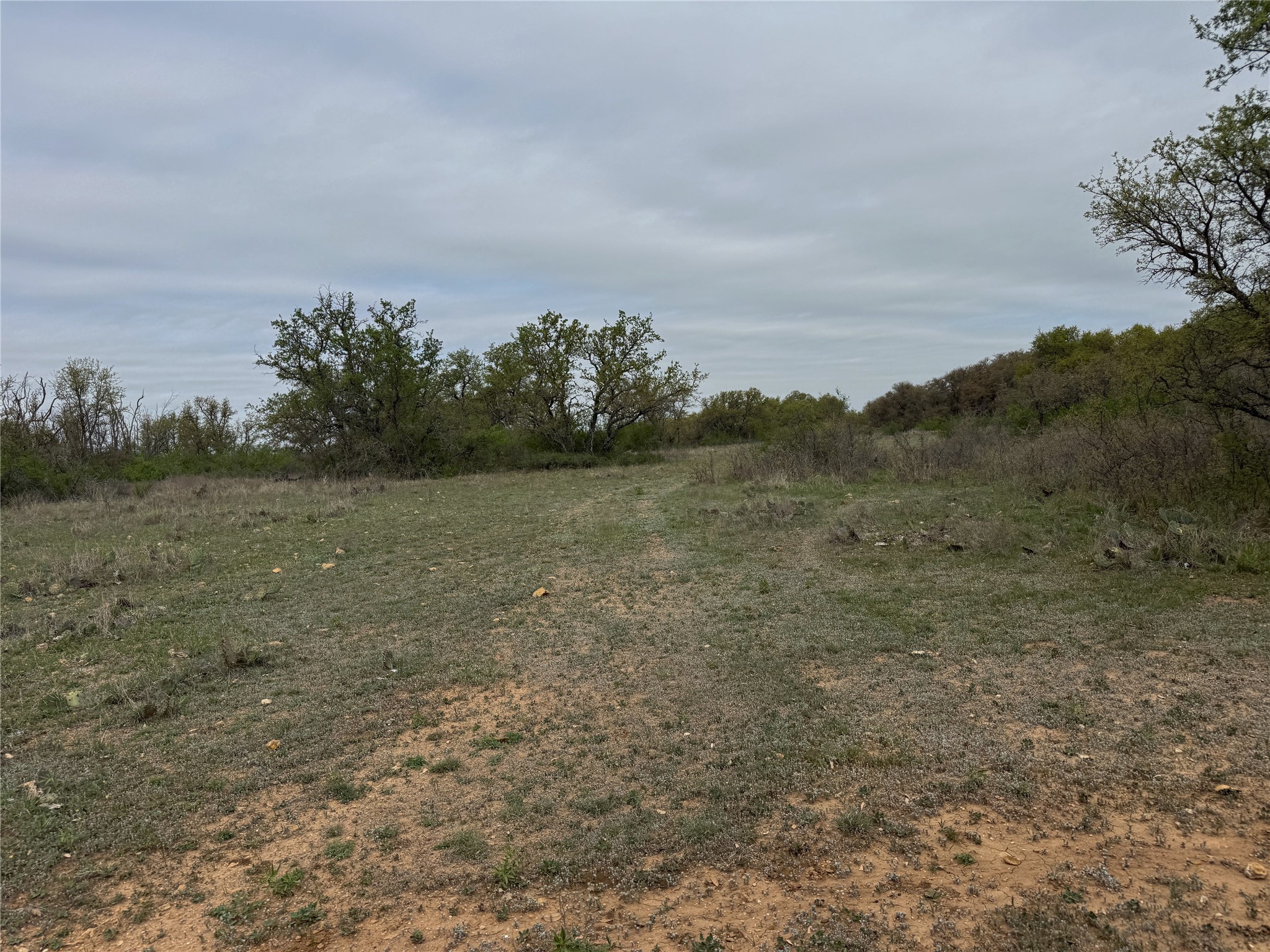 Tbd Co Road 369 Carbon TX 76435