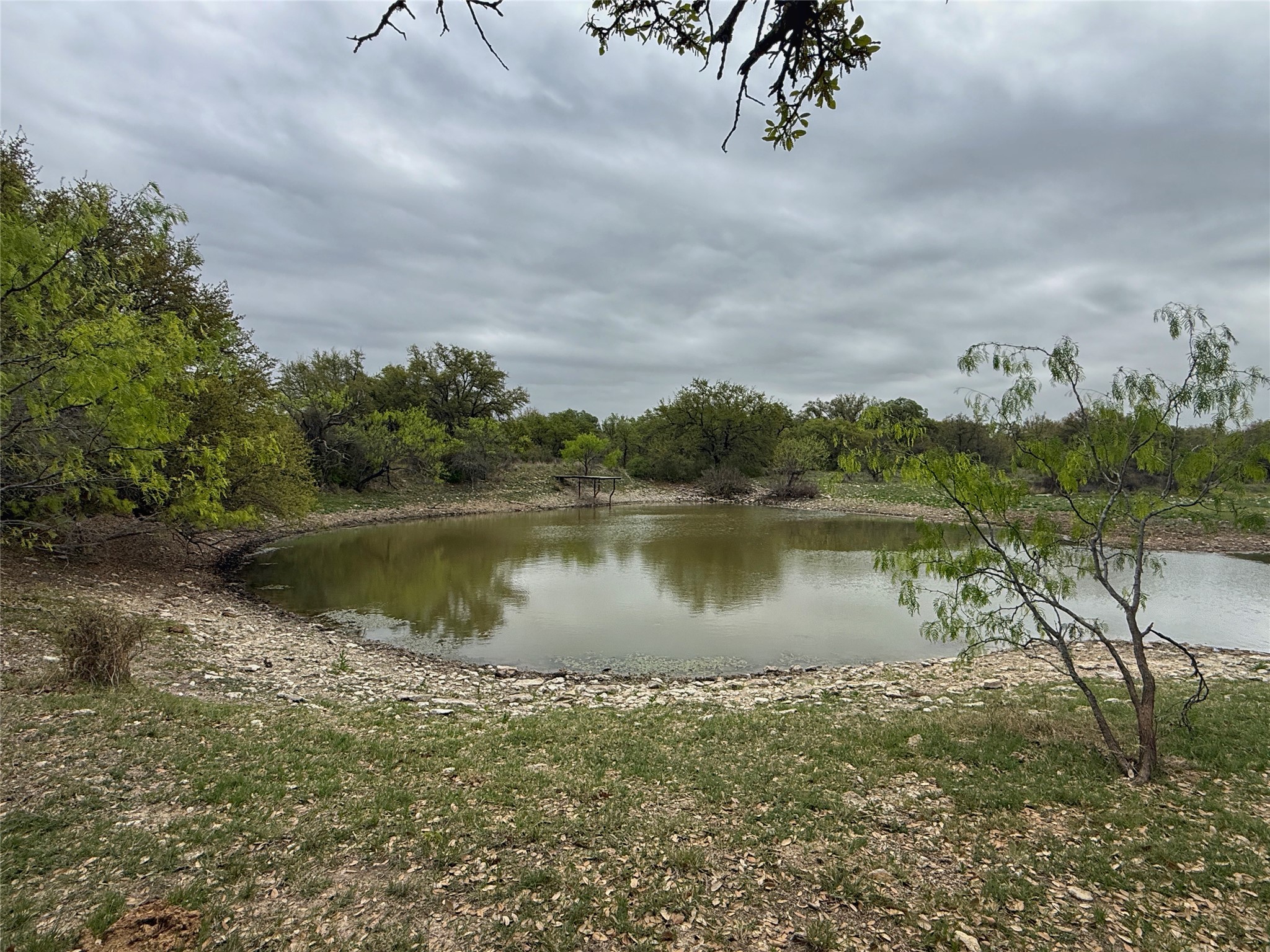 Tbd Co Road 369 Carbon TX 76435