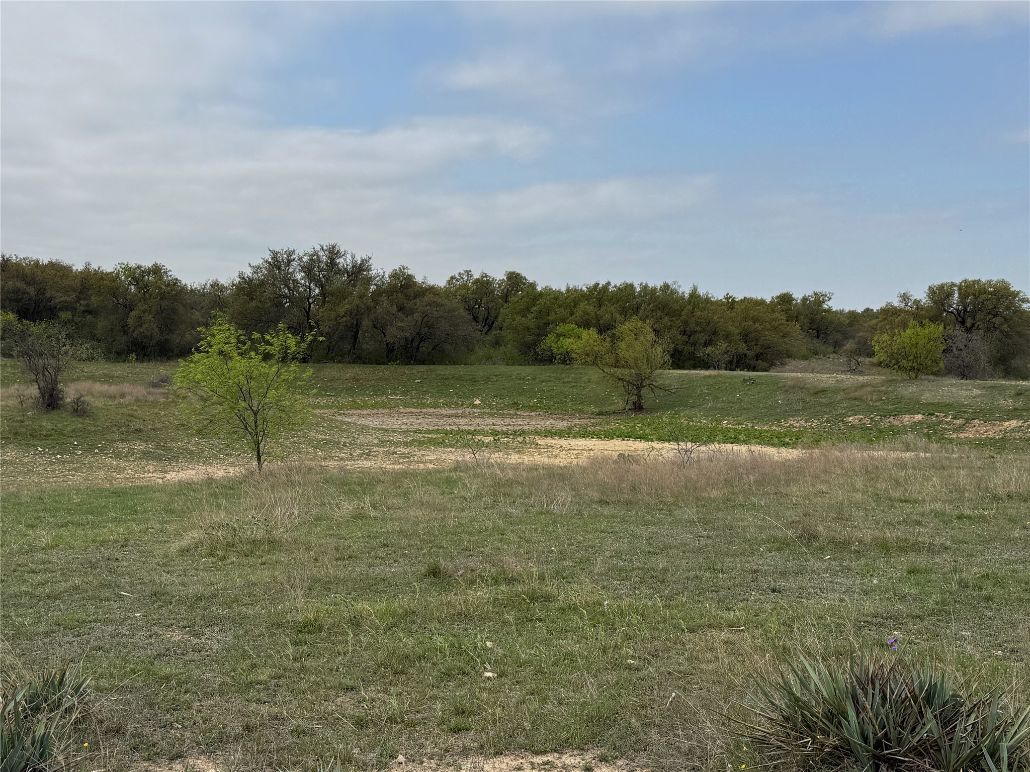 Tbd Co Road 369 Carbon TX 76435