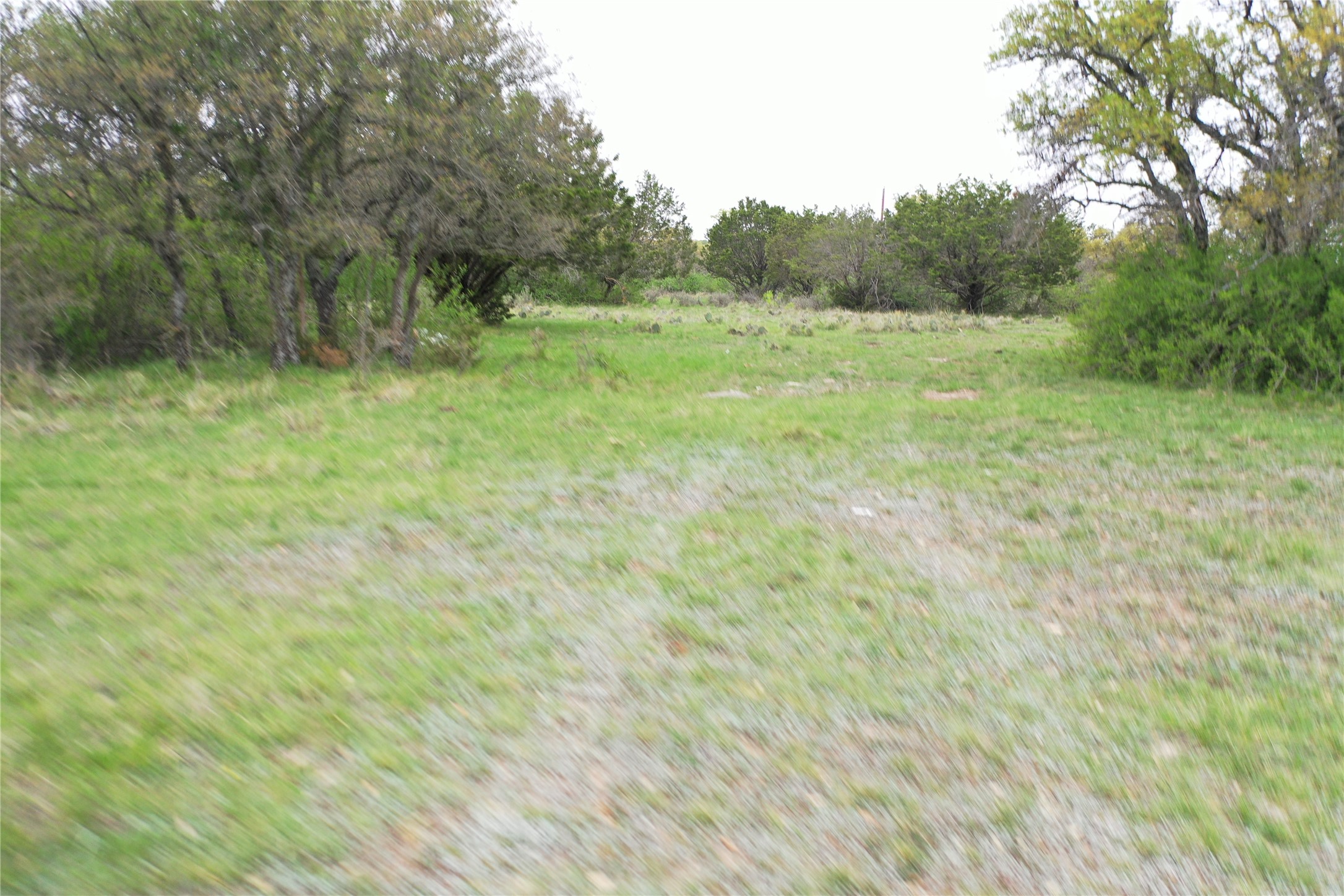 Tbd Co Road 369 Carbon TX 76435