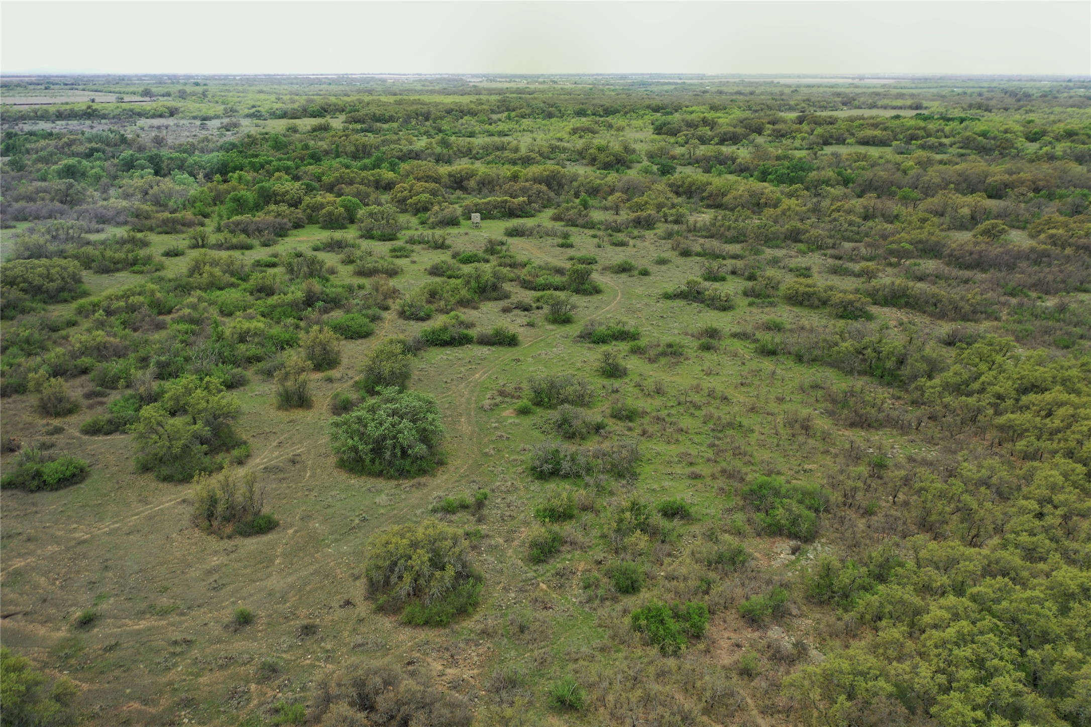 Tbd Co Road 369 Carbon TX 76435