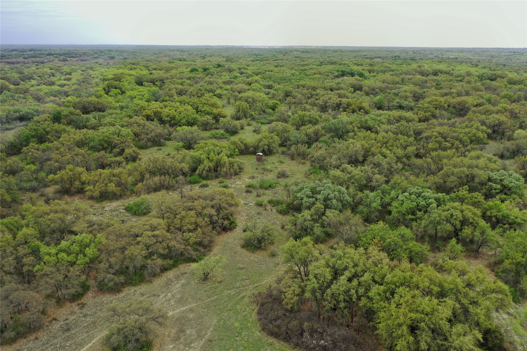 Tbd Co Road 369 Carbon TX 76435