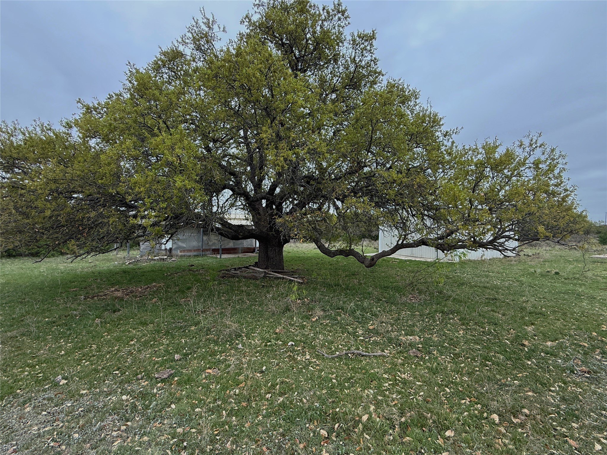 Tbd Co Road 369 Carbon TX 76435