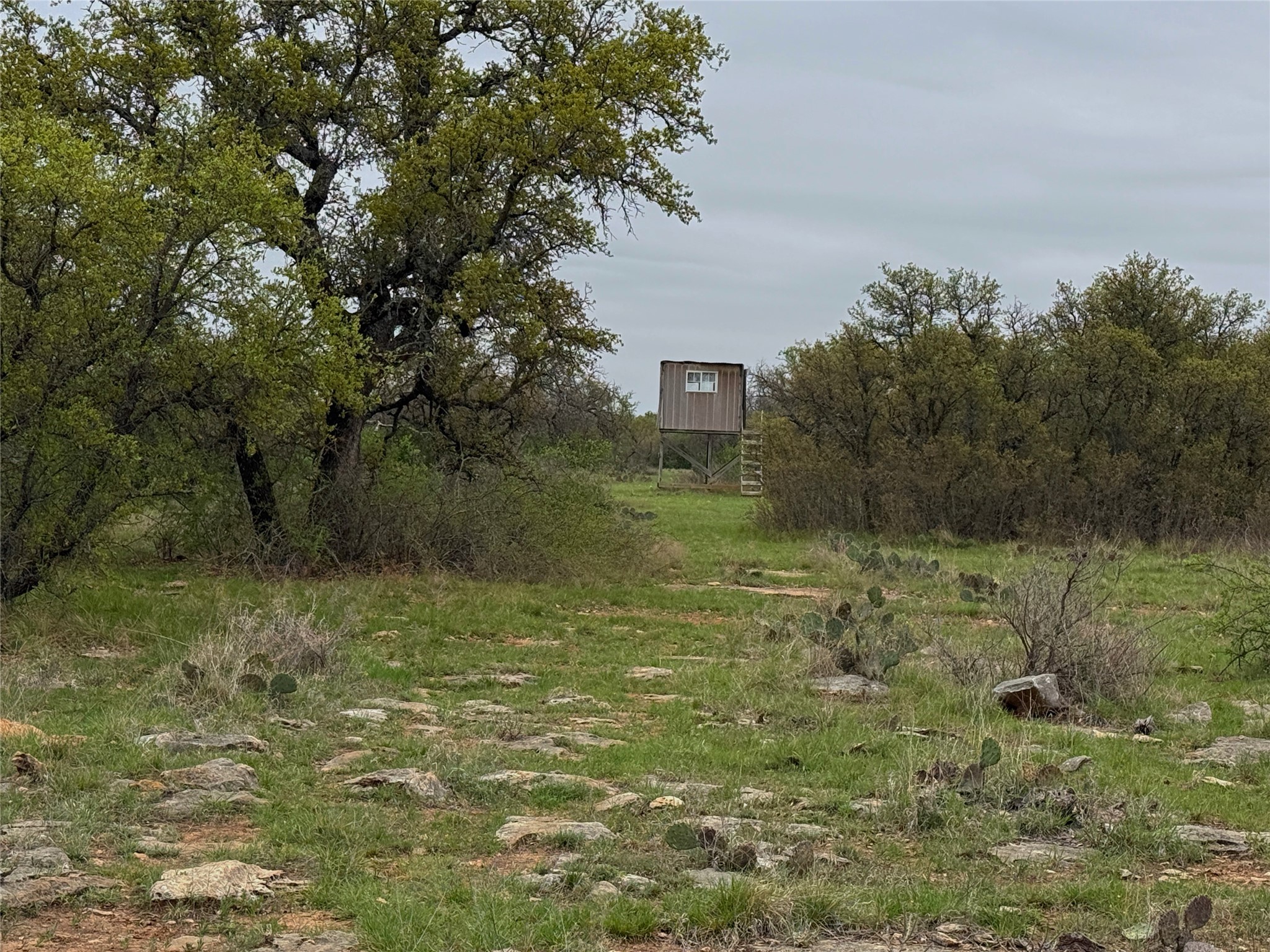 Tbd Co Road 369 Carbon TX 76435