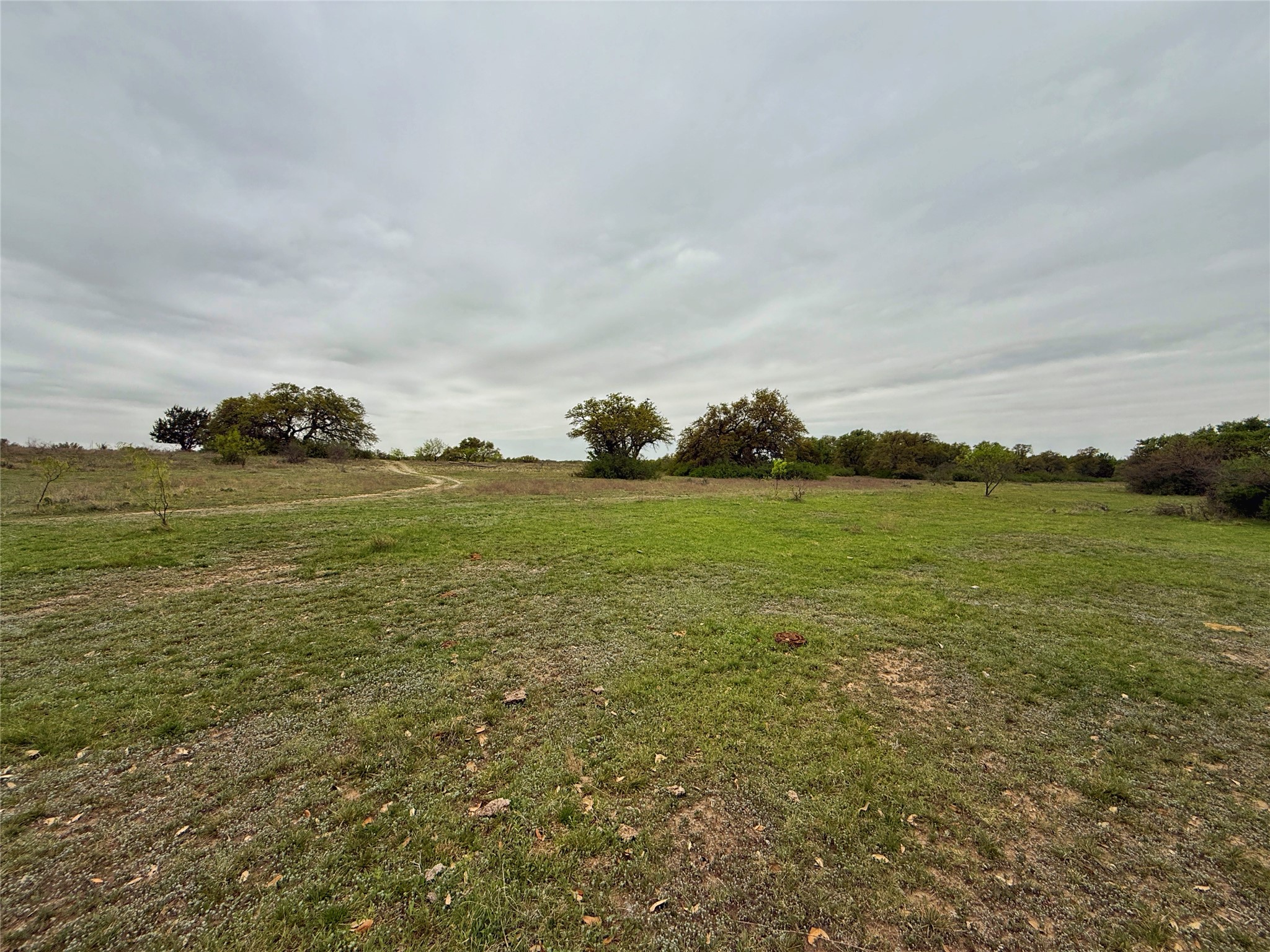 Tbd Co Road 369 Carbon TX 76435