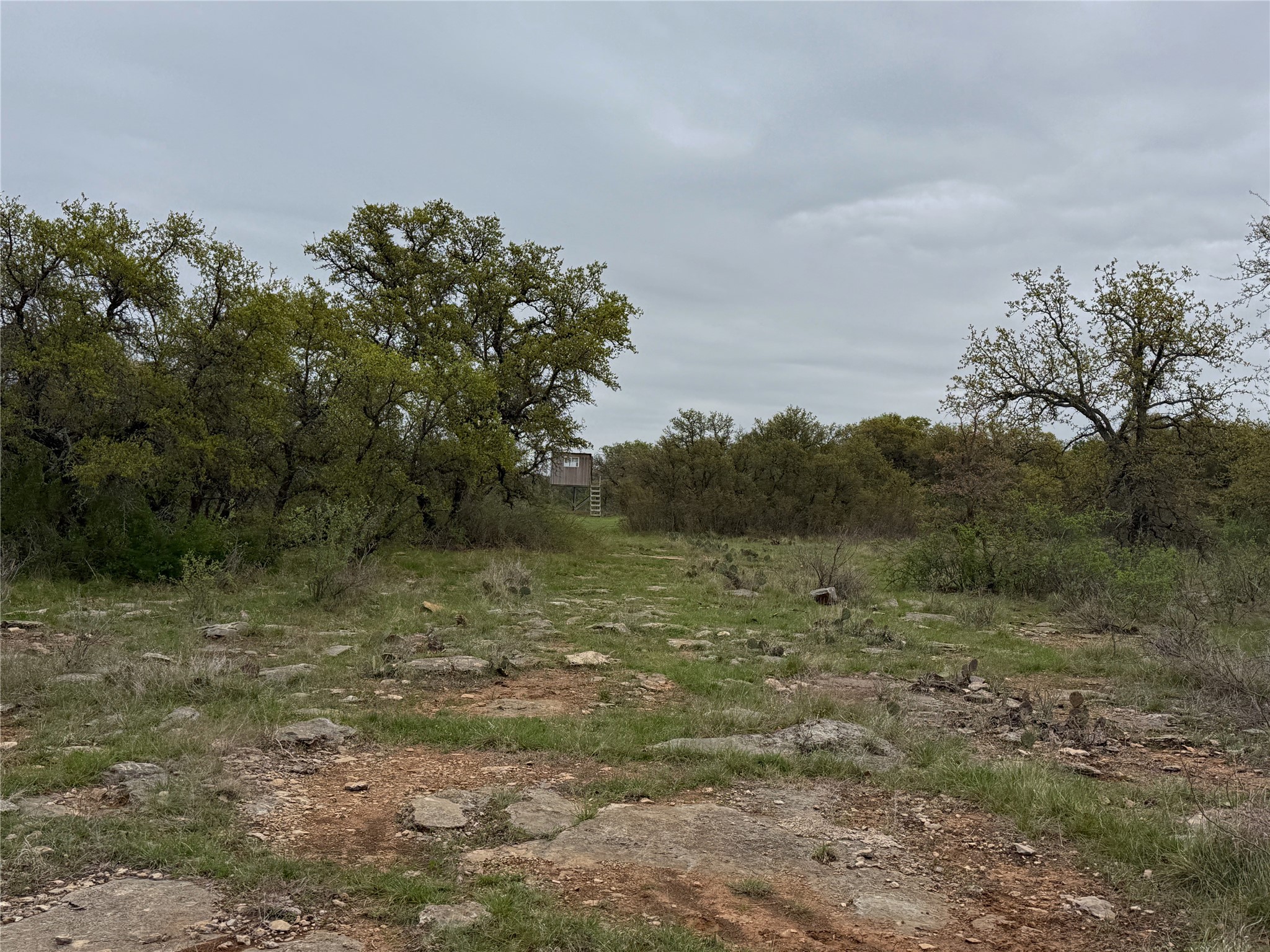 Tbd Co Road 369 Carbon TX 76435