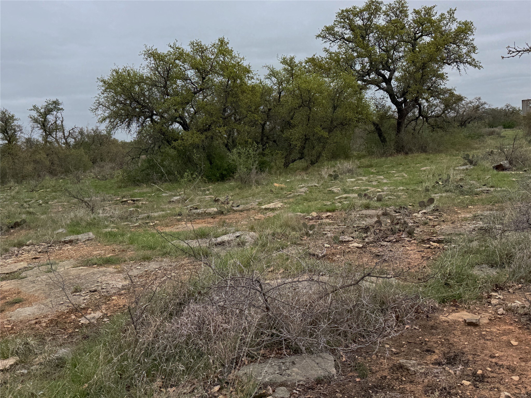 Tbd Co Road 369 Carbon TX 76435
