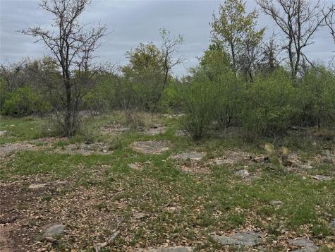 Tbd Co Road 369 Carbon TX 76435