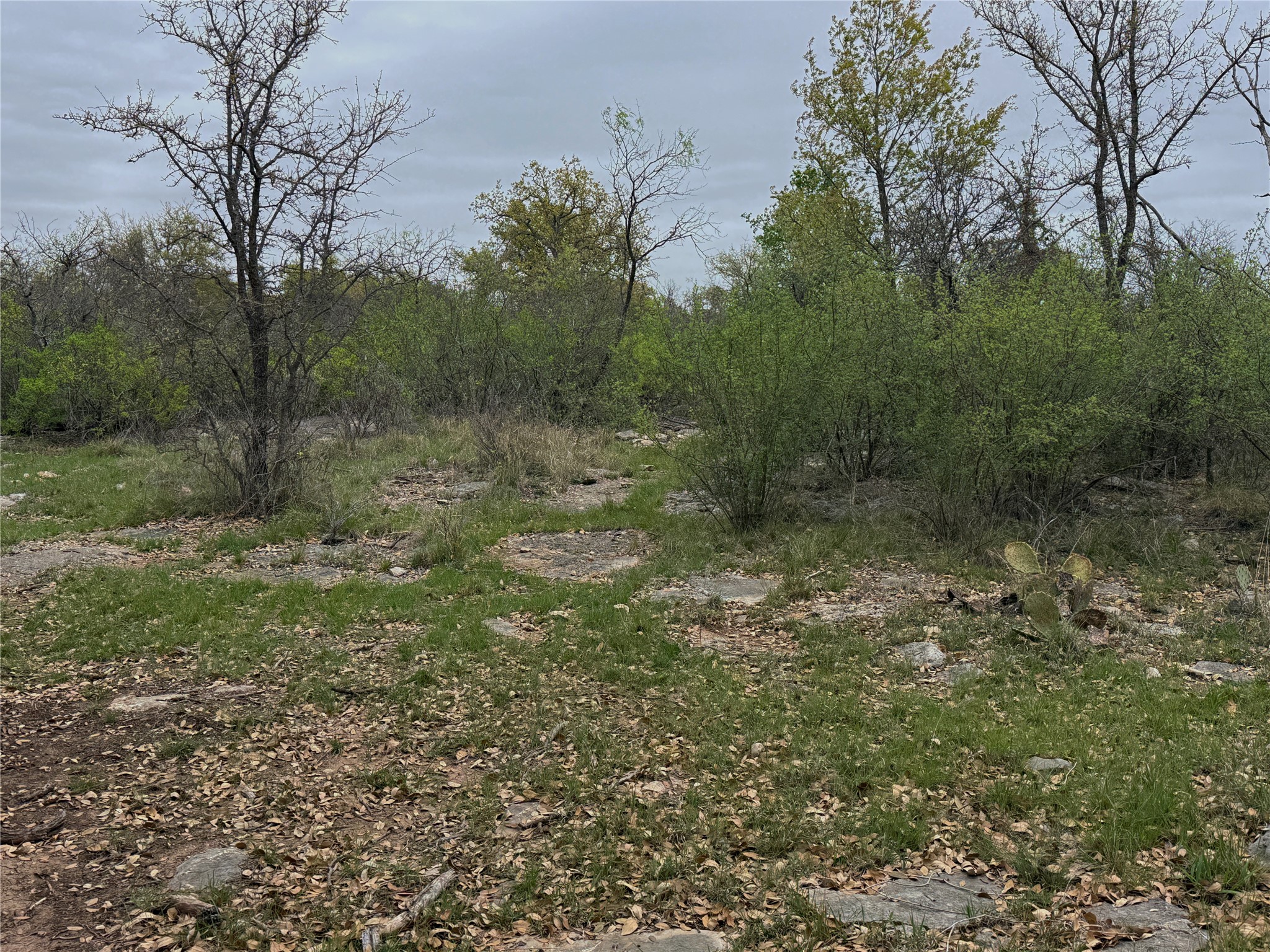 Tbd Co Road 369 Carbon TX 76435