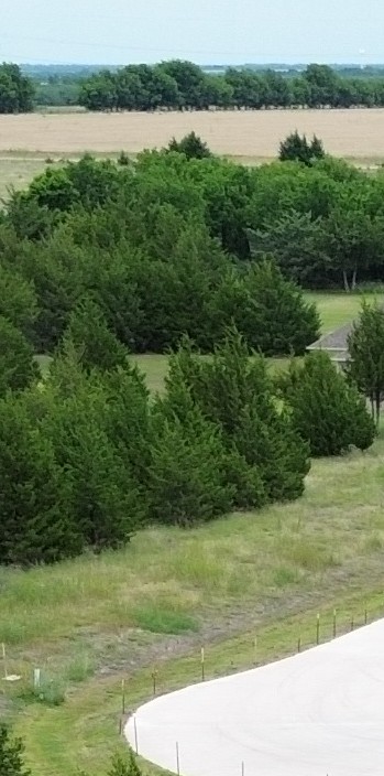 Tbv Evergreen Way Nevada TX 75173