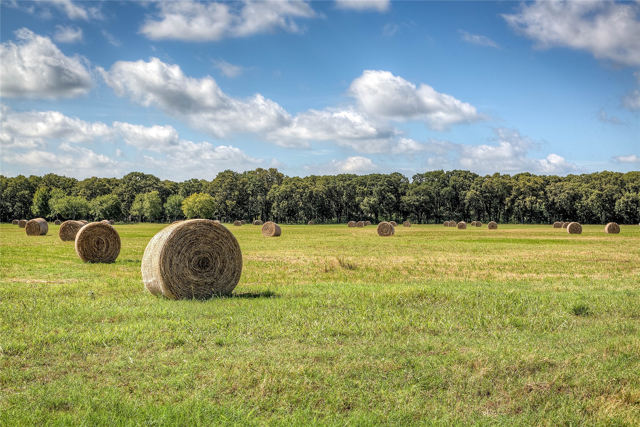 Lot 1 County Road 120 Wills Point TX 75169
