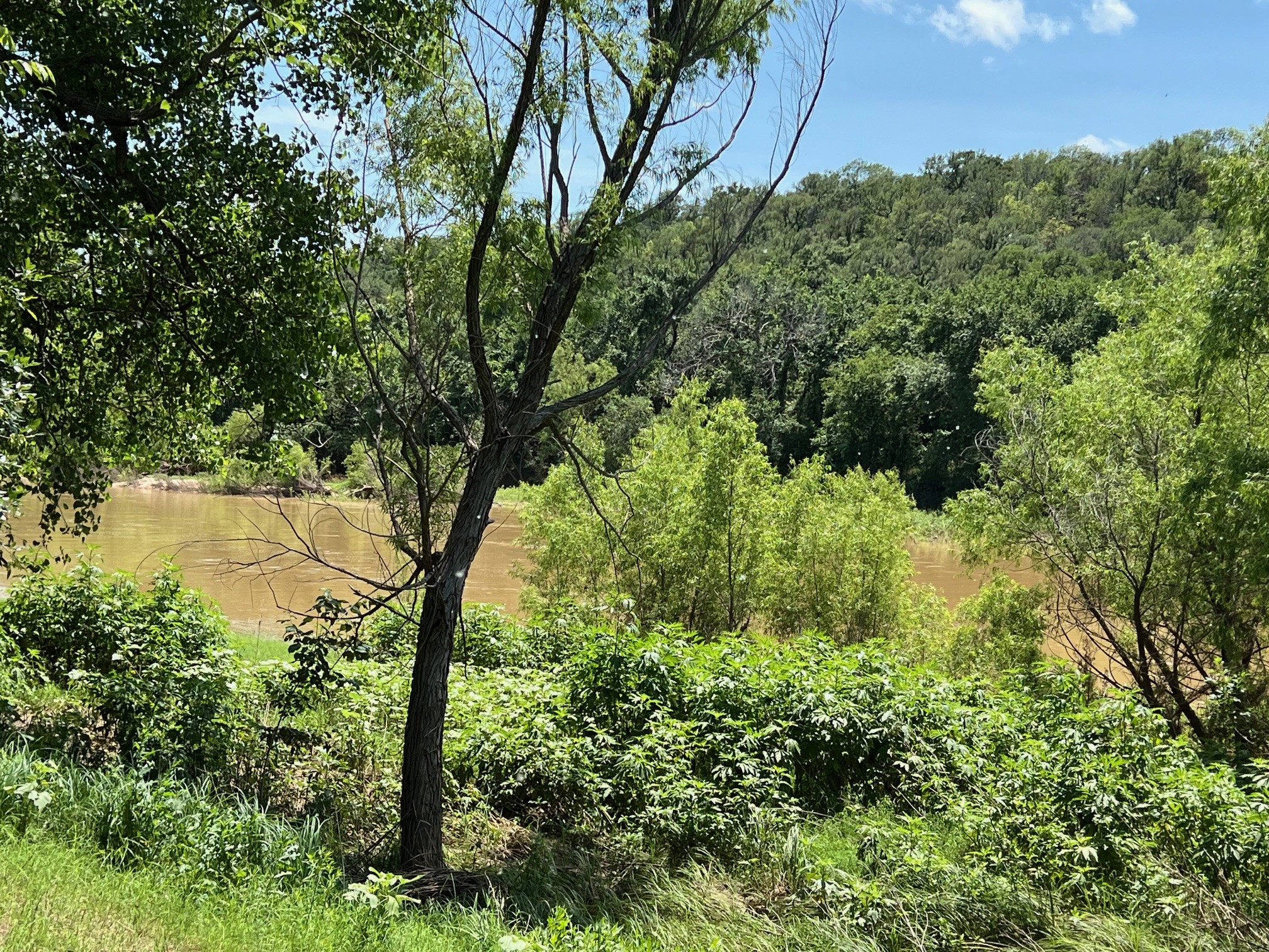 340 S Lazy Bend Estates Road Millsap TX 76066