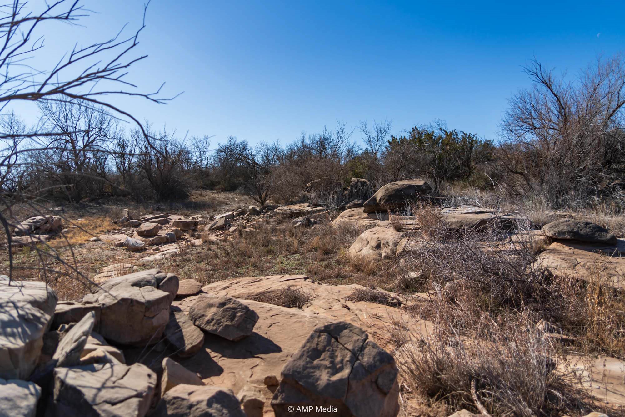 Tbd Fm-2836 Colorado City TX 79512